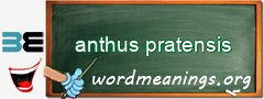 WordMeaning blackboard for anthus pratensis